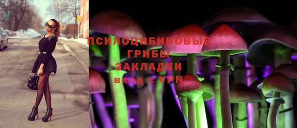 эйфоретик Беломорск