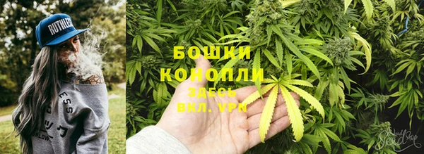 эйфоретик Беломорск