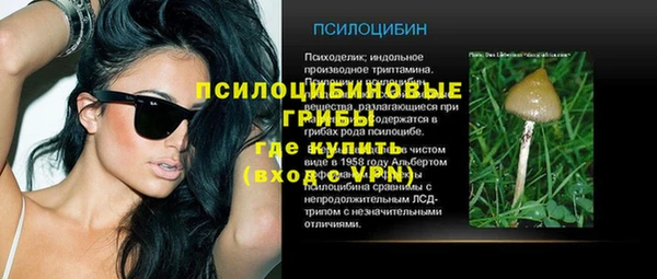 марихуана Белокуриха
