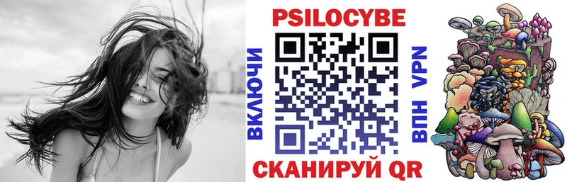 Галлюциногенные грибы Psilocybe  купить наркотик  Болохово 